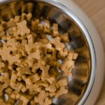 Pet Food Packaging Tips and Trends